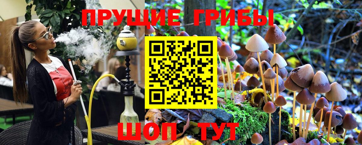 Галлюциногенные грибы GOLDEN TEACHER  хочу   Камышлов  Псилоцибиновые грибы GOLDEN TEACHER  Вход с VPN 